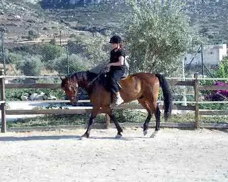 Appartement Aslanis Village