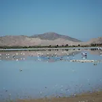 Daire Aslanis Village *