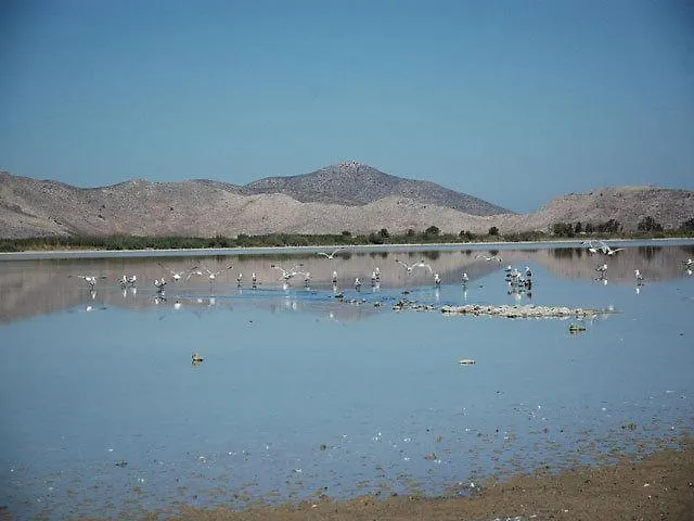 Lejlighed Aslanis Village *